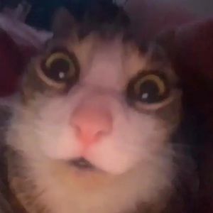 Meet your Posher, Karina